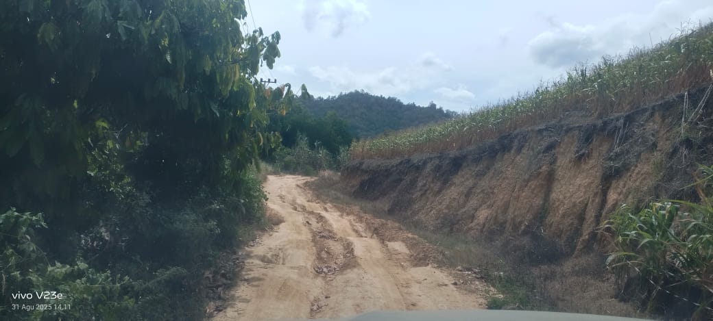 Muara Situlen-Gelombang: Ketika Jalan Provinsi Lebih Mirip Jalan Kebun
