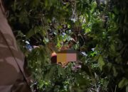 Diduga Kurir Paket Tewas Dibunuh