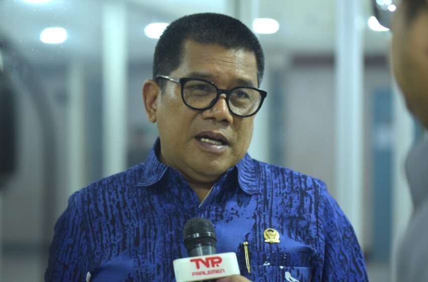 Muslim Ayub Desak Pusat Beri Dana Otsus Tanpa Batas Waktu