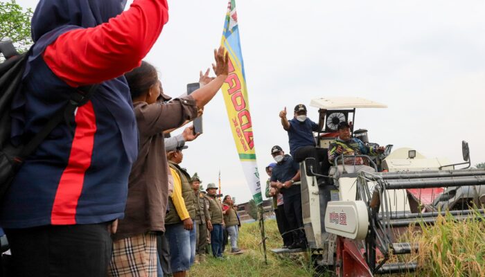Panen Raya Di Percut Seituan, Asri Ludin Tambunan Minta Perkuat Kemandirian Pangan