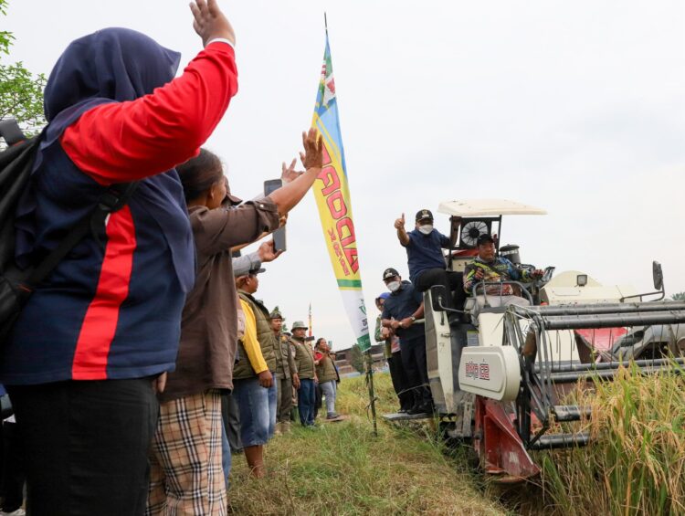 Panen Raya Di Percut Seituan, Asri Ludin Tambunan Minta Perkuat Kemandirian Pangan