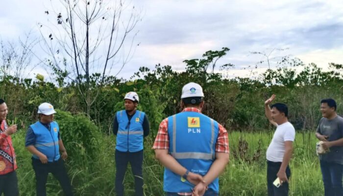 Bupati Dan PLN UP3 Nias Survey Lahan PLTS Di Nisbar