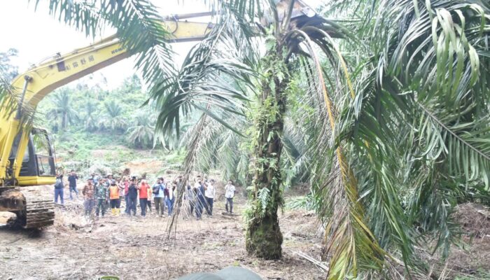 Satgas PKH Mulai Unjuk Gigi Sikat Lahan Ilegal Di Aceh Tamiang