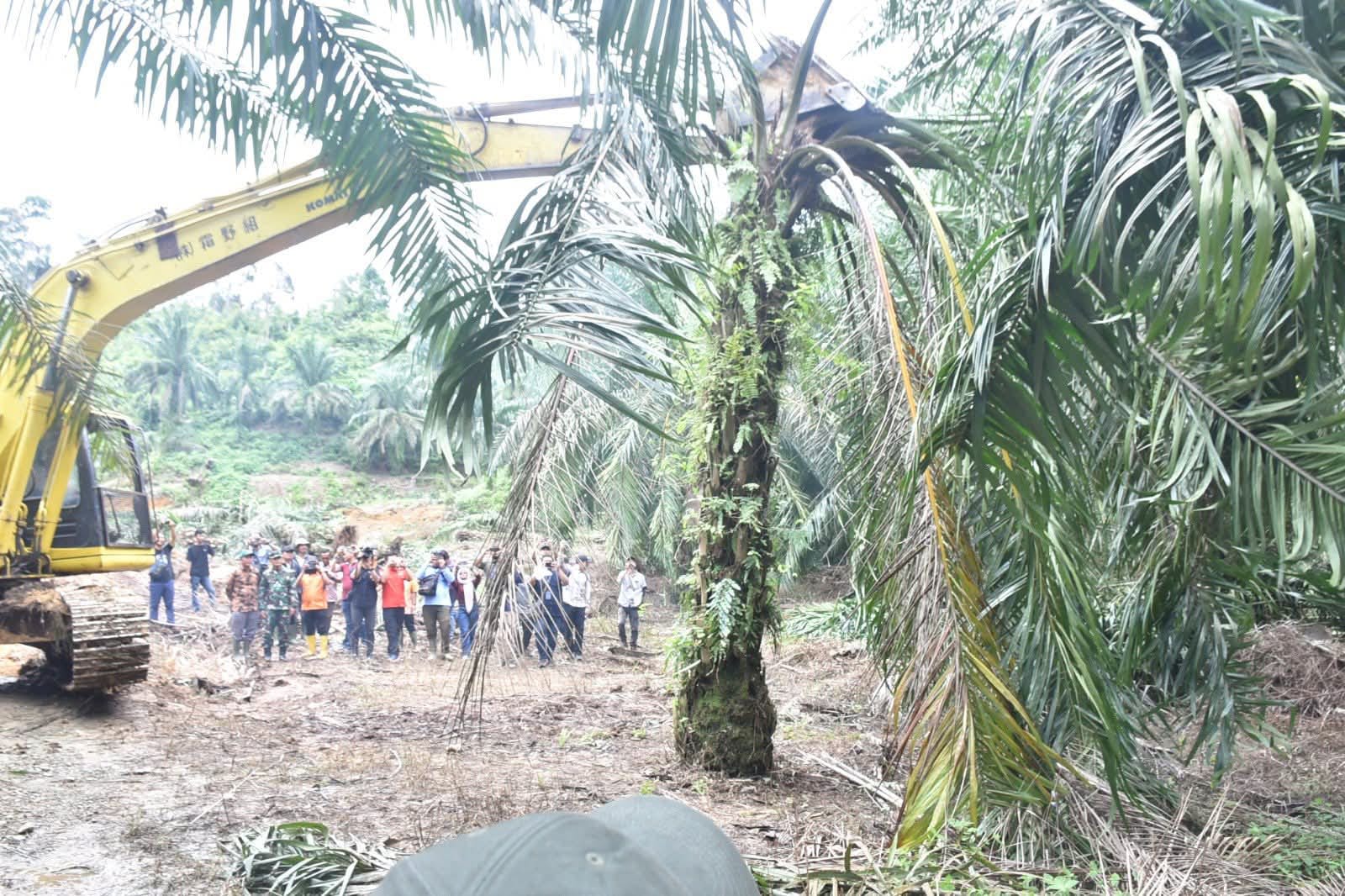 Satgas PKH Mulai Unjuk Gigi Sikat Lahan Ilegal Di Aceh Tamiang