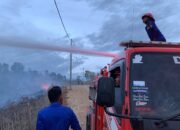 Karhutla Dominasi Catatan Kebakaran BPBD Aceh Besar Selama Sepekan