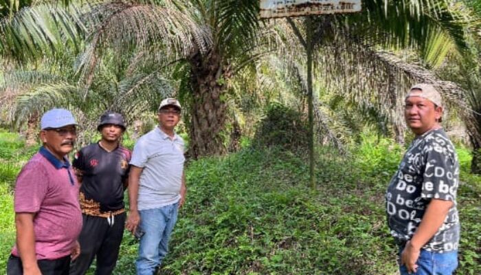 Manfaatkan Hari Libur, Kalapas Labuhan Ruku Beserta Jajaran Tinjau Lahan