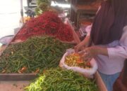 Harga Cabai Kian Pedas, Beras Masih Mahal 