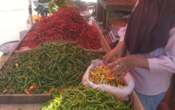 Harga Cabai Kian Pedas, Beras Masih Mahal 