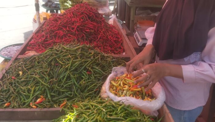 Harga Cabai Kian Pedas, Beras Masih Mahal 