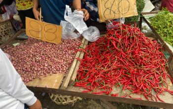 Harga cabai merah alami kenaikan dan menyentuh Rp80 ribu hingga Rp85 ribu per Kg pada perdagangan hari ini, Minggu (7/9/2025).