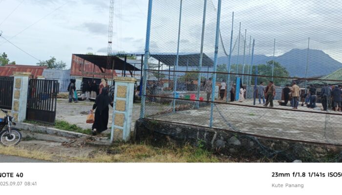 Peringati Maulid Nabi, Warga Lukup Sabun Laksanakan Tradisi Penyembelihan Sapi