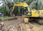 LembAHtari Dan KJL Minta Reforestasi Serta Penumbangan Harus Berkelanjutan