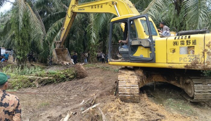 LembAHtari Dan KJL Minta Reforestasi Serta Penumbangan Harus Berkelanjutan