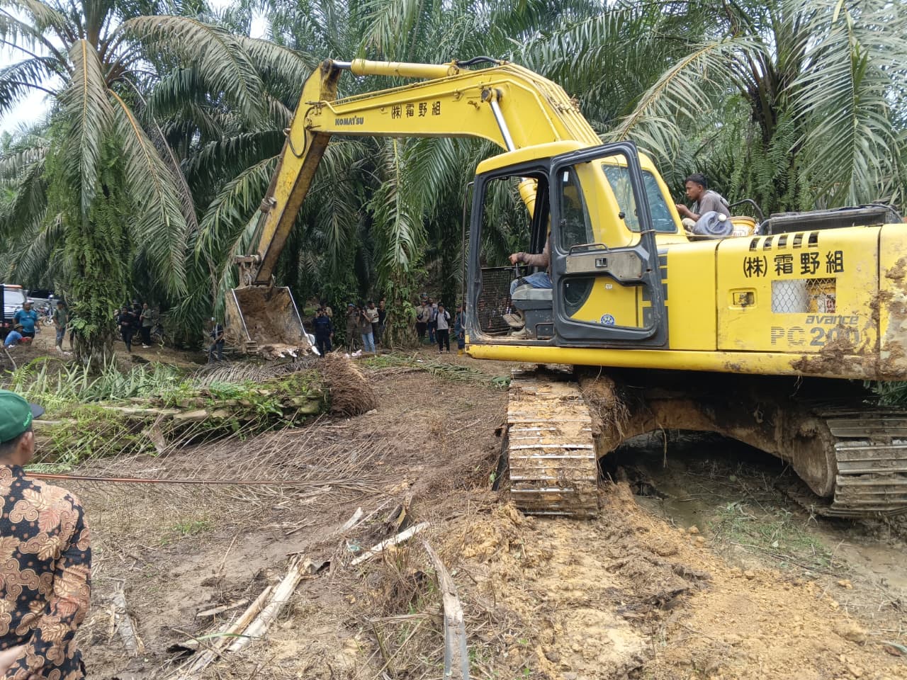LembAHtari Dan KJL Minta Reforestasi Serta Penumbangan Harus Berkelanjutan