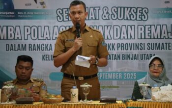 TP PKK Provsu Monitoring Lomba PAAR Di Kota Binjai