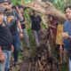 Heboh, Warga Sergai Temukan Kerangka Manusia Dalam Pohon Aren