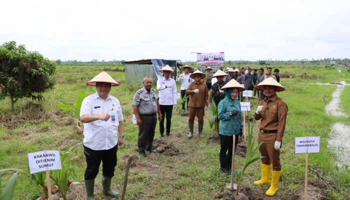 Dukung Ketahanan Pangan Nasional, Imigrasi Sumut Tanam 2.000 Bibit Kelapa