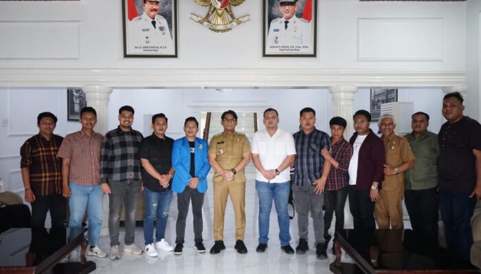 Wakil Wali Kota Binjai Terima KNPI Sumut: Dukungan Pemuda Untuk Pembangunan Daerah