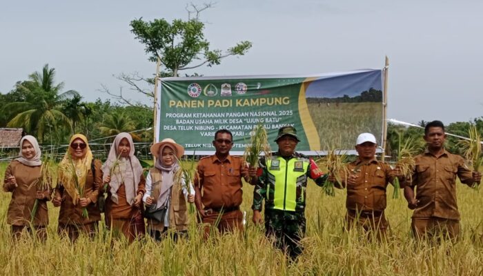Dulu Nenteng Senjata Kini Memikul Cangkul, Babinsa Kodim 0109 Singkil Sukses Panen 16 Ton Gabah