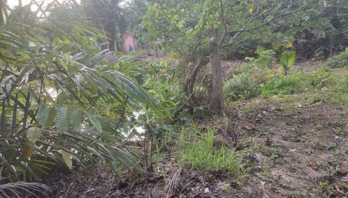 Ditolak Warga, Proyek Pengolahan Sampah Di Lhok Aman Meukek Terancam Gagal