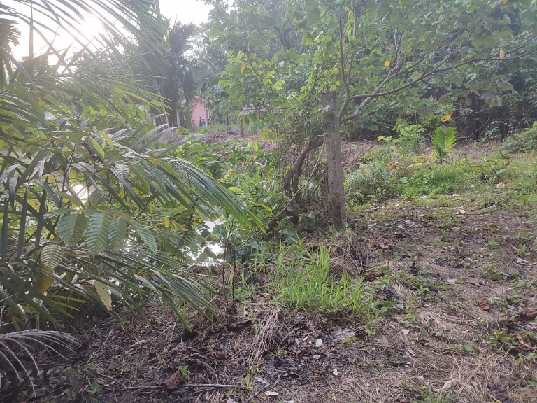 Ditolak Warga, Proyek Pengolahan Sampah Di Lhok Aman Meukek Terancam Gagal