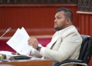Irfansyah: Revisi UUPA Akhirnya Masuk Prioritas Legislasi Nasional Kumulatif