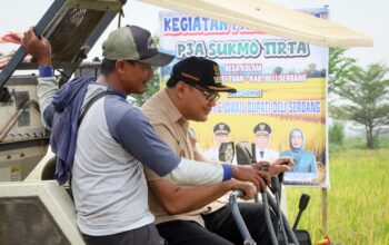 Panen Raya 318 Ha Di Percut Seituan, Bupati: Pastikan Pasokan Beras Cukupi Kebutuhan Masyarakat