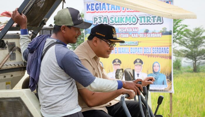 Panen Raya 318 Ha Di Percut Seituan, Bupati: Pastikan Pasokan Beras Cukupi Kebutuhan Masyarakat