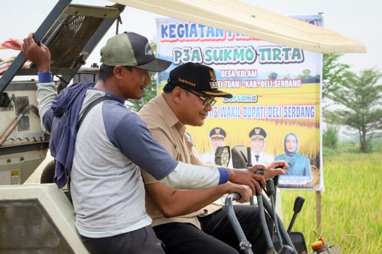 Panen Raya 318 Ha Di Percut Seituan, Bupati: Pastikan Pasokan Beras Cukupi Kebutuhan Masyarakat