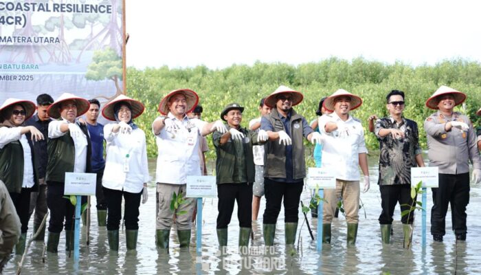Menhut Tanam Mangrove Di Pantai Sejarah, Batubara
