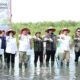 Menhut Tanam Mangrove Di Pantai Sejarah, Batubara
