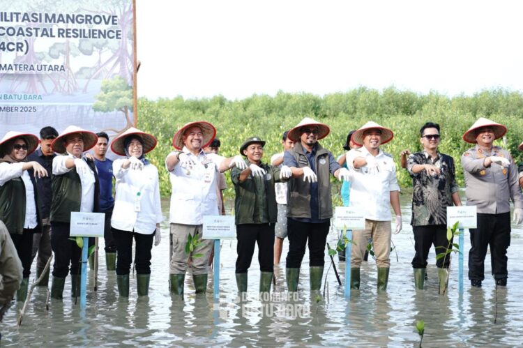 Menhut Tanam Mangrove Di Pantai Sejarah, Batubara