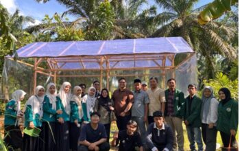 Tim PKM USU Dan Poktan Melati Dusun Sido Mulio Kembangkan Kemandirian Ekonomi Melalui Budidaya Hidroponik