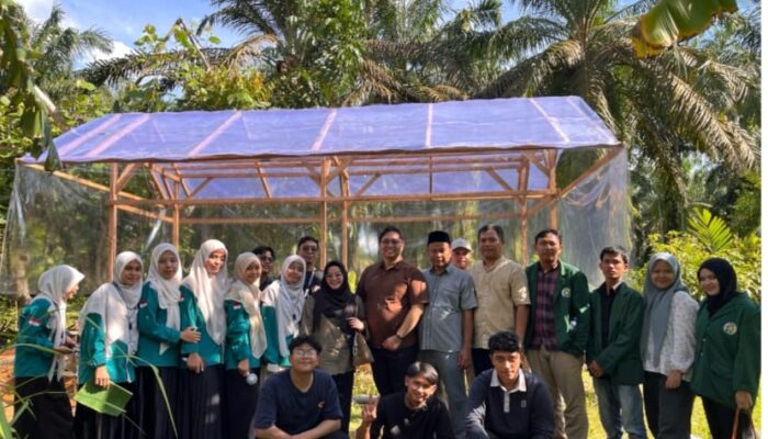 Tim PKM USU Dan Poktan Melati Dusun Sido Mulio Kembangkan Kemandirian Ekonomi Melalui Budidaya Hidroponik