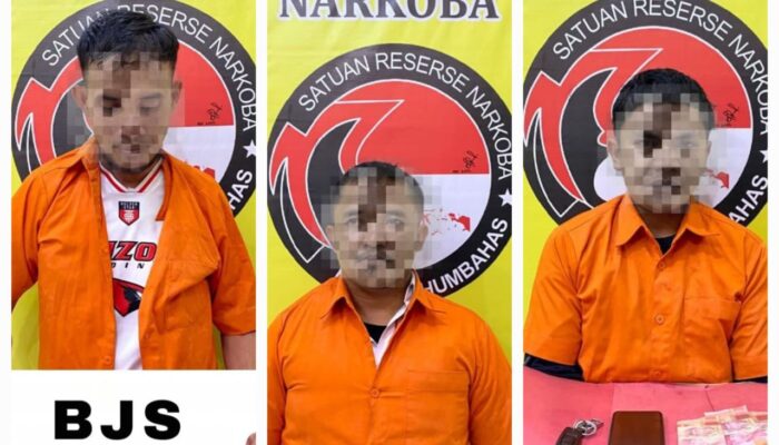 Dua ASN Humbahas Ditangkap Karena Narkoba, Polisi Sikat Pengedar Di Toba