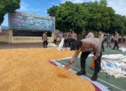 Jemur Jagung, Kapolres Mandailing Natal Dukung Asta Cita Polri.