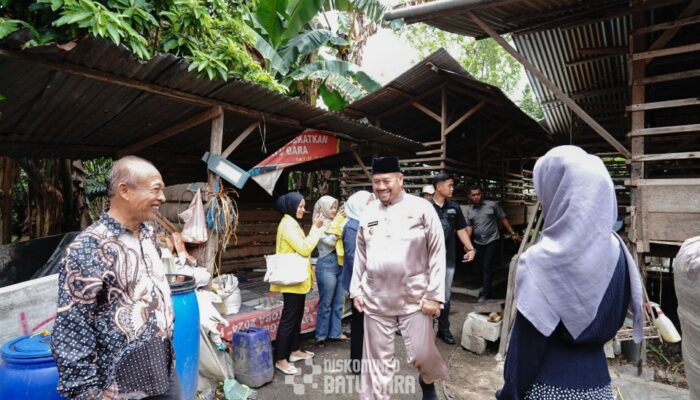 Peternakan Kambing Dorong Potensi Ekonomi Lokal Dan Produk Susu Berkualitas