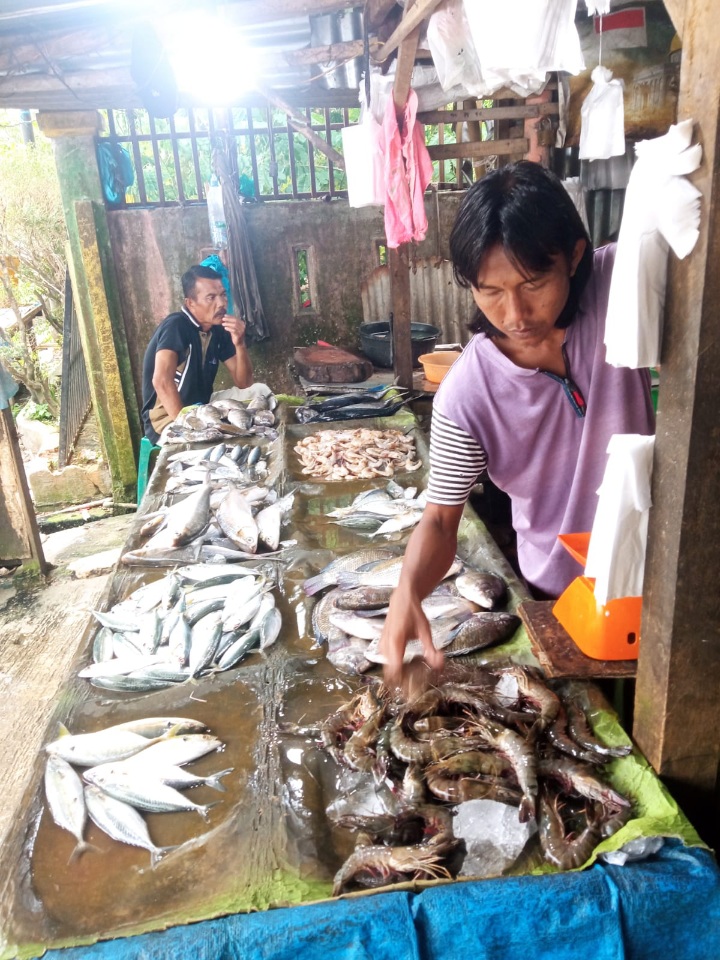 Harga Ikan Mahal Di Aceh Tamiang