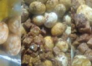 Santri MUQ Tahan Lapar Tak Selera Makan, Pemkab Aceh Selatan Akan Tindak Tegas Vendor
