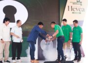 PT Propernas Nusa Dua Resmikan Launching Cluster Hevea