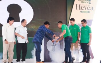 PT Propernas Nusa Dua Resmikan Launching Cluster Hevea