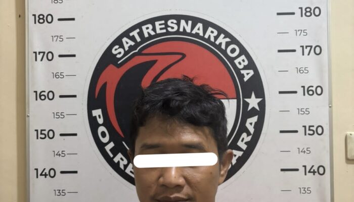Pengedar Sabu Simpang Gambus Kembali Dijaring