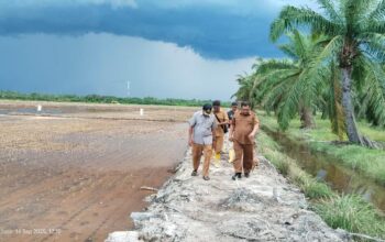 Tahun Depan, Sergai Targetkan 258,45 Hektare Sawah Baru