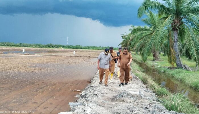 Tahun Depan, Sergai Targetkan 258,45 Hektare Sawah Baru