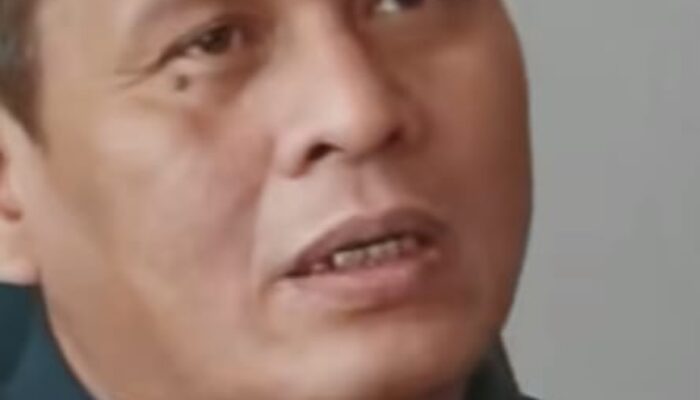 Inalum Dukung Gerakan Dekarbonisasi