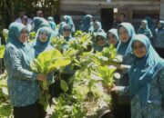 TP PKK Aceh Bina Program Gammawar Gampong Jaboi