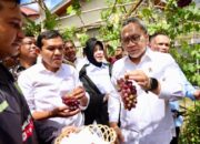 Menko Pangan Apresiasi Koperasi Desa Merah Putih Banda Aceh