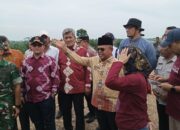 Wamen Dikti Tinjau Lahan SMA Garuda Aceh Utara Untuk Anak Berprestasi