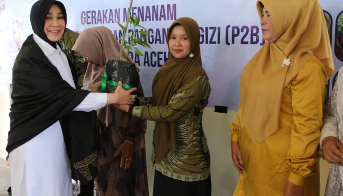 Pemko Banda Aceh Gencarkan Tanam Cabai Untuk Tekan Inflasi
