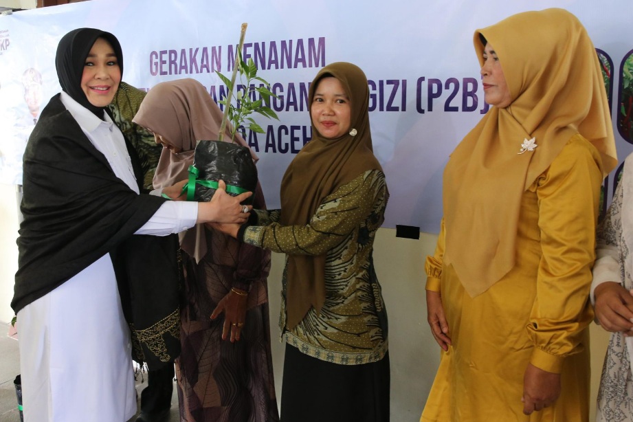 Pemko Banda Aceh Gencarkan Tanam Cabai Untuk Tekan Inflasi